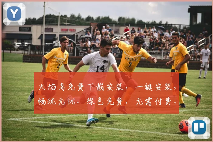 火焰鸟免费下载安装，一键安装，畅玩无忧，绿色免费，无需付费，快速体验