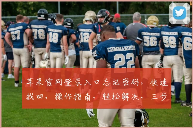 苹果官网登录入口忘记密码，快速找回，操作指南，轻松解决，三步搞定，高效便捷