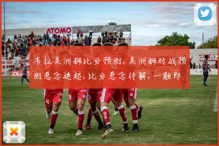 韦拉美洲狮比分预测,美洲狮对战预测悬念迭起,比分悬念待解,一触即发