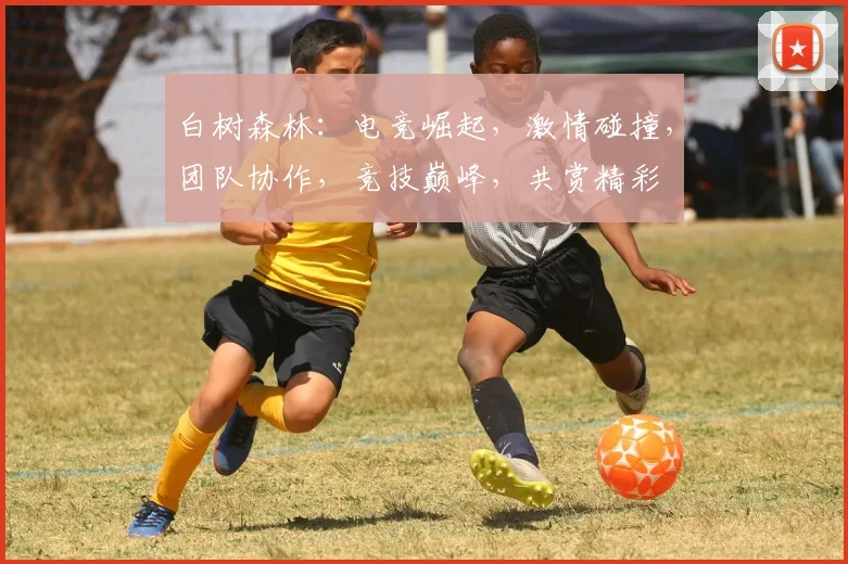 白树森林：电竞崛起，激情碰撞，团队协作，竞技巅峰，共赏精彩