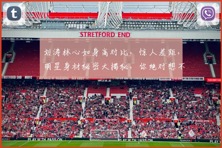 刘涛林心如身高对比，惊人差距，明星身材秘密大揭秘，你绝对想不到