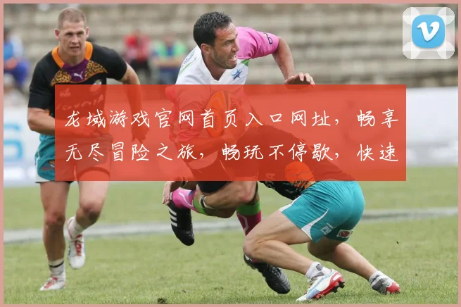 龙域游戏官网首页入口网址，畅享无尽冒险之旅，畅玩不停歇，快速直达